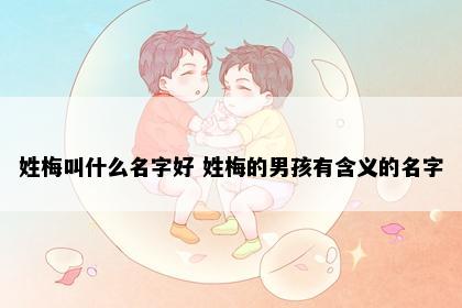 姓梅叫什么名字好 姓梅的男孩有含义的名字